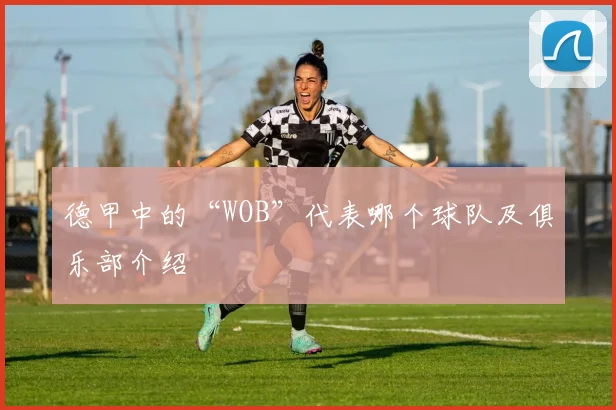德甲中的“WOB”代表哪个球队及俱乐部介绍