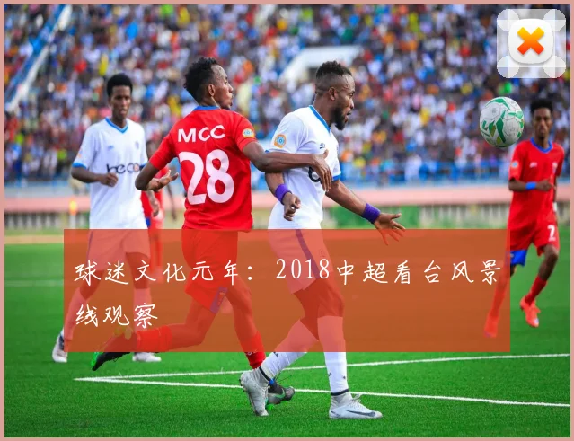 球迷文化元年:2018中超看台风景线观察