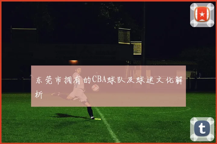 东莞市拥有的CBA球队及球迷文化解析