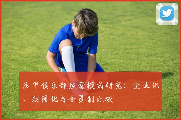 法甲俱乐部经营模式研究：企业化、财团化与会员制比较
