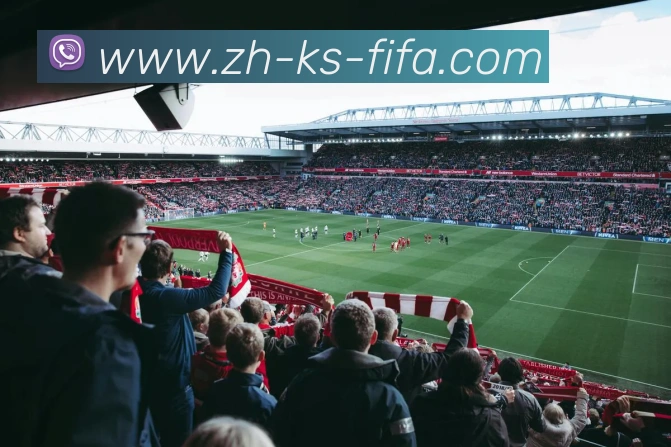 世界杯赛程平台生态图