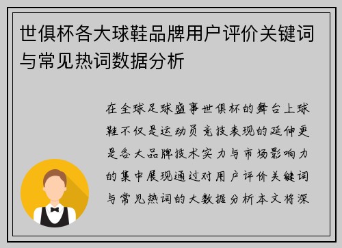 世俱杯各大球鞋品牌用户评价关键词与常见热词数据分析