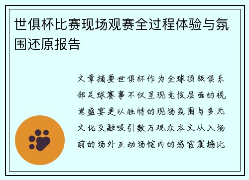 世俱杯比赛现场观赛全过程体验与氛围还原报告